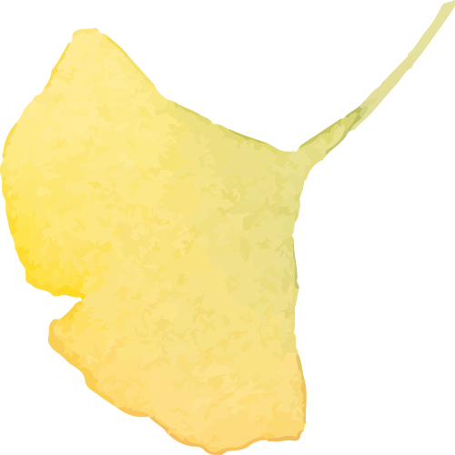 现场洋溢着